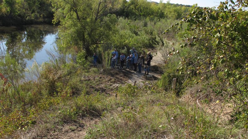 Miller Springs Pond.JPG